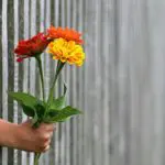 Being Thankful