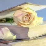 My Top 5 Business Books to Read for Summer