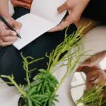 Thankfulness: An Open Letter to My Readers